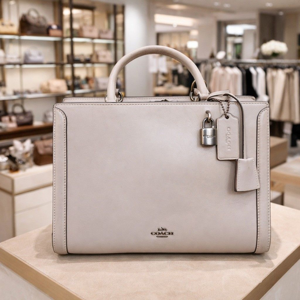 Coach Zoe Carryall Taupe Beige Leather Satchel Top Handle Bag Double Zip F49500